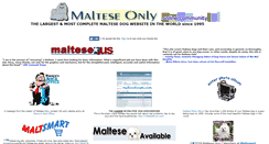 Desktop Screenshot of malteseonly.com